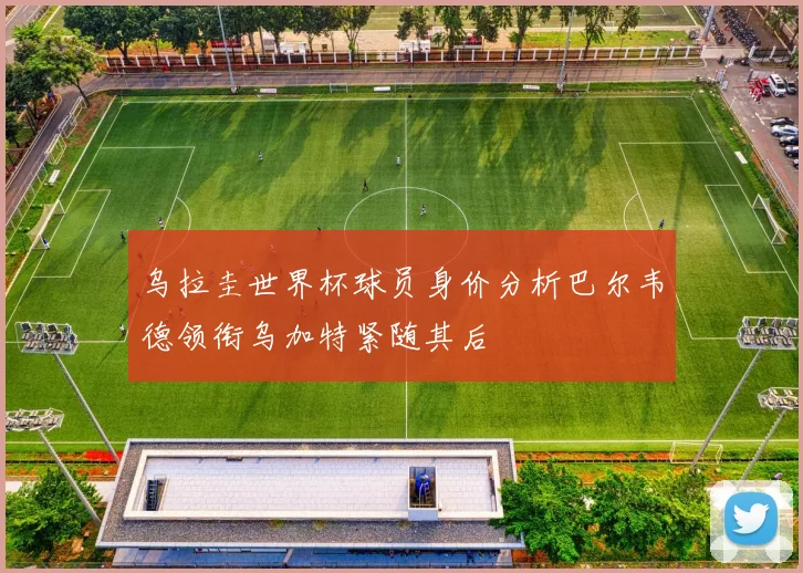乌拉圭世界杯球员身价分析巴尔韦德领衔乌加特紧随其后